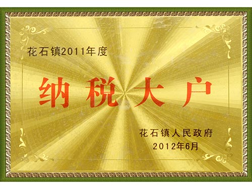 2011纳税大户